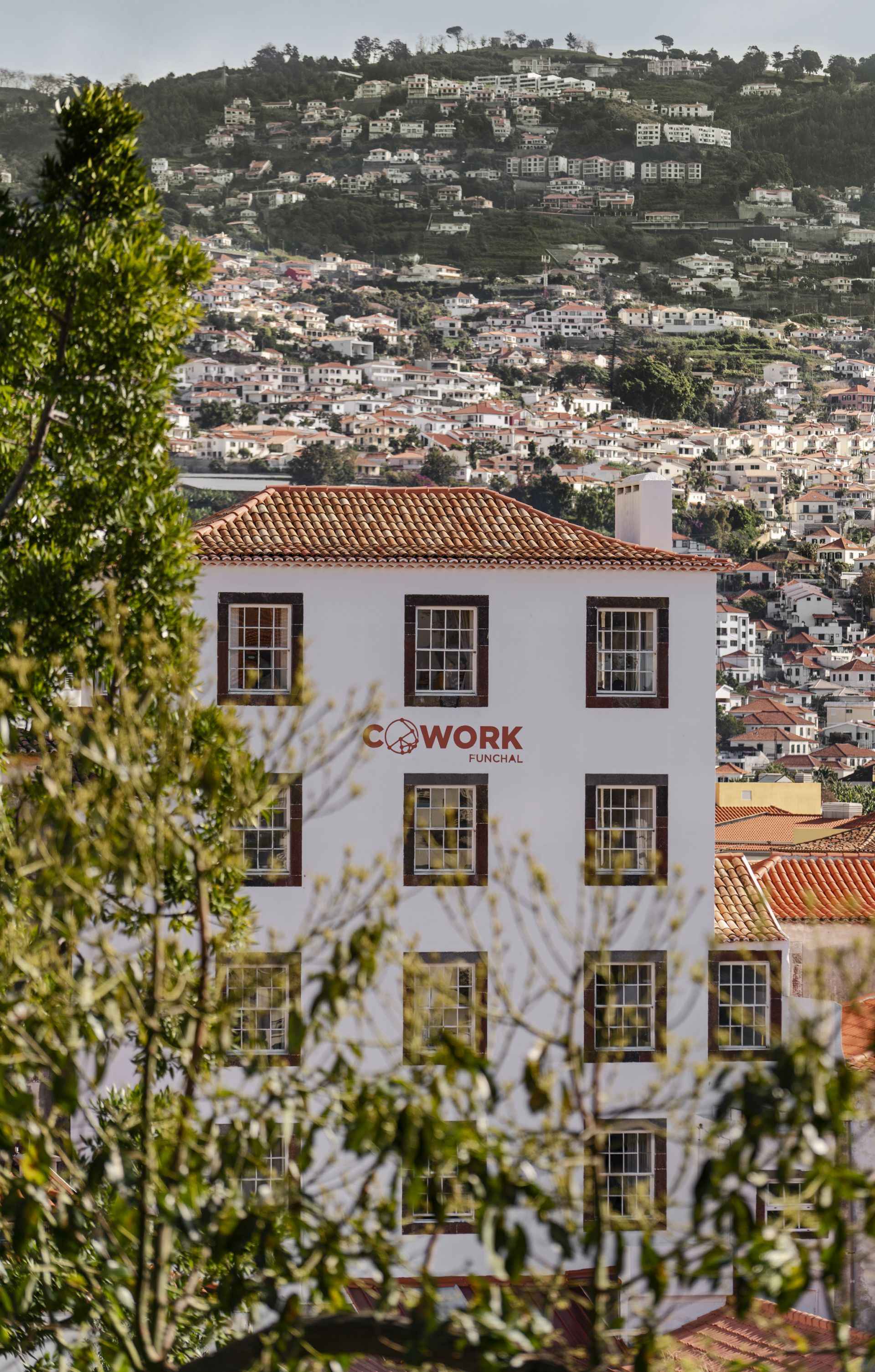 Cowork Funchal 2